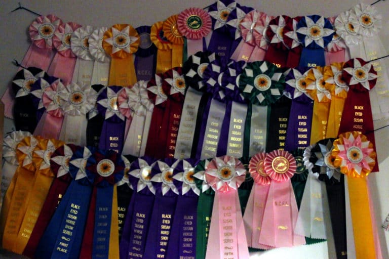 A collection of horse show ribbons